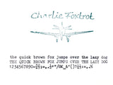 Typewriter, 1975 Adler Gabriele 25