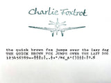 Typewriter, 1961 Blue Bird with New Platen